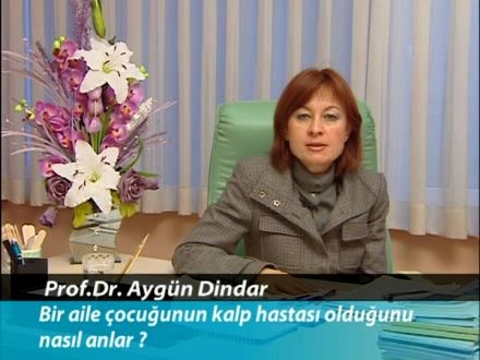 Prof. Dr. Aygn Dindar