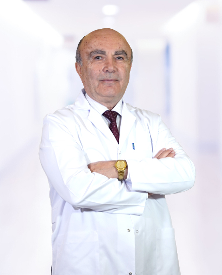Prof. Dr. Vahdet Gül