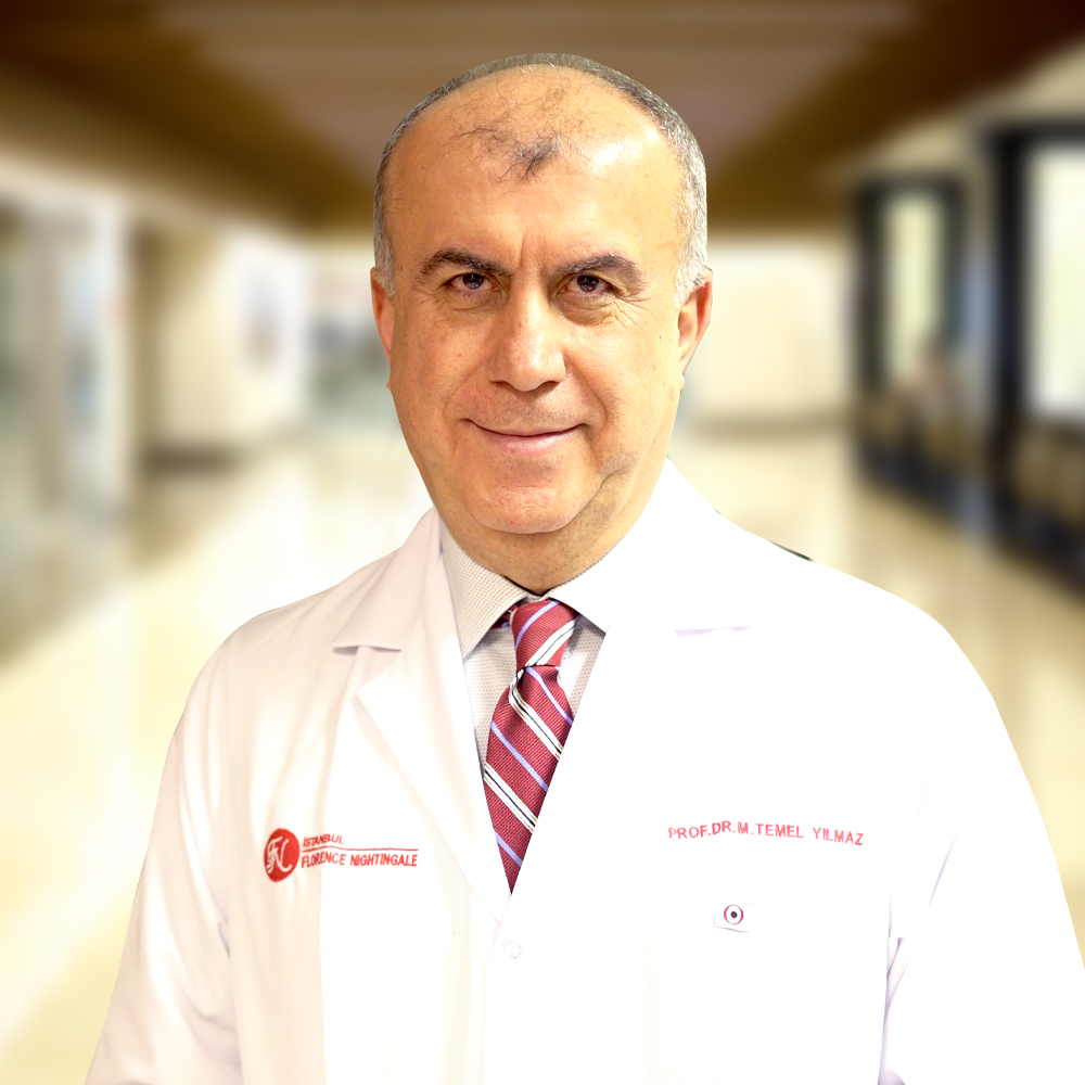 Prof. Dr. Mehmet Temel Yılmaz