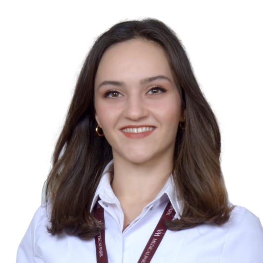 Dyt. Hande Uçak Gündüz