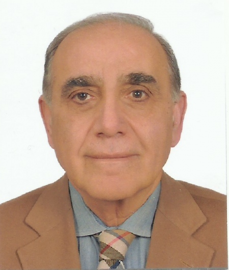 Prof. Dr. Mehmet Nur Altınörs