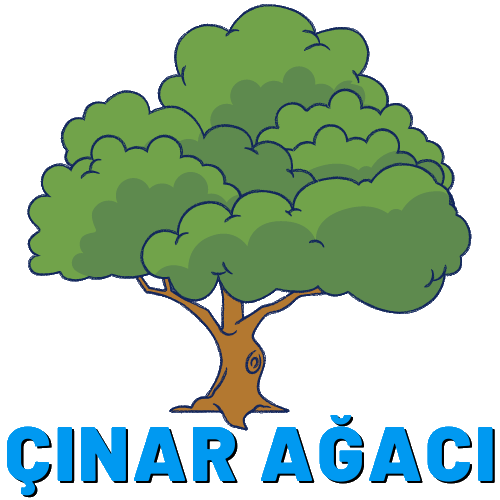 zel nar Aac Huzurevi ve Yal Bakm Merkezi